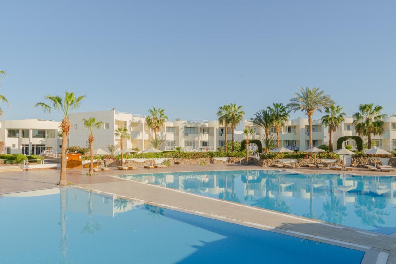 Reef 4* Шарм-еш-Шейх