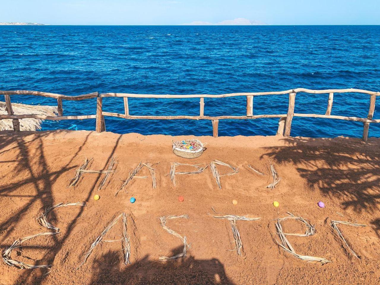 Üdülőközpont Reef 4*