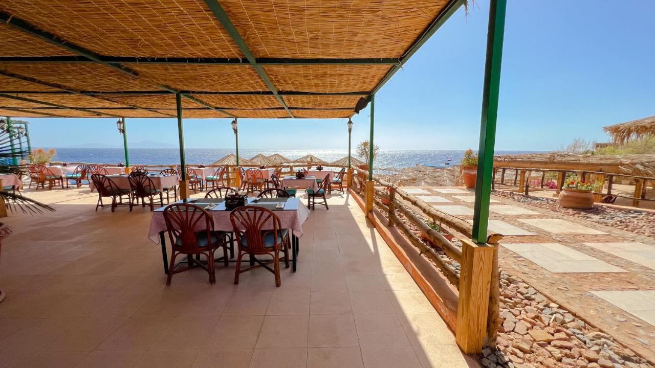 Reef Sharm el-Sheikh