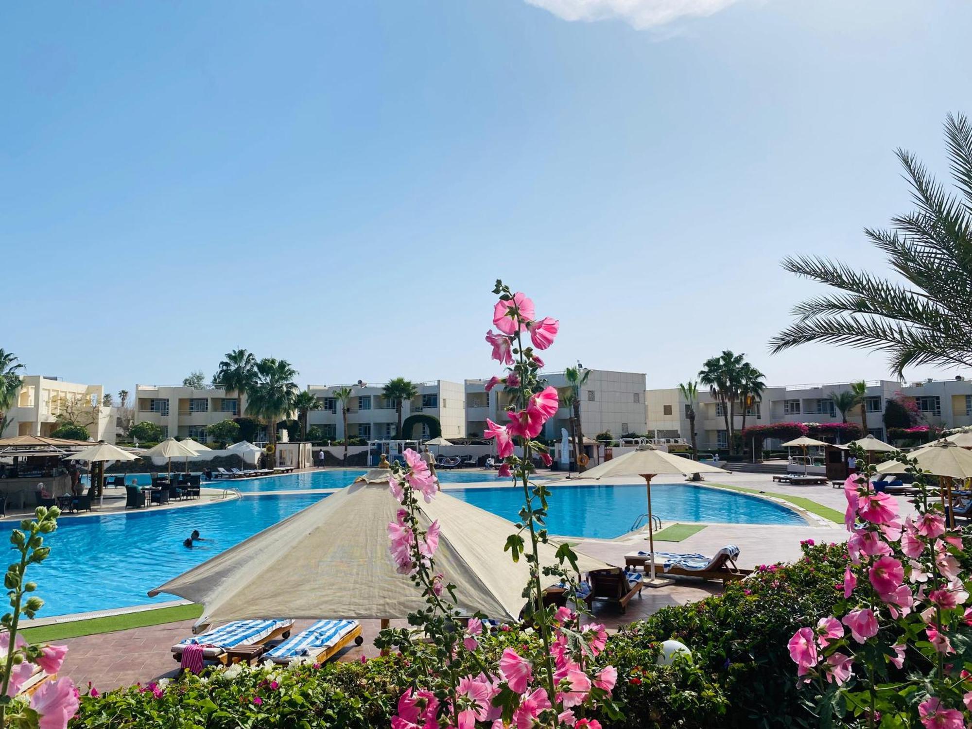 Resort Reef 4*