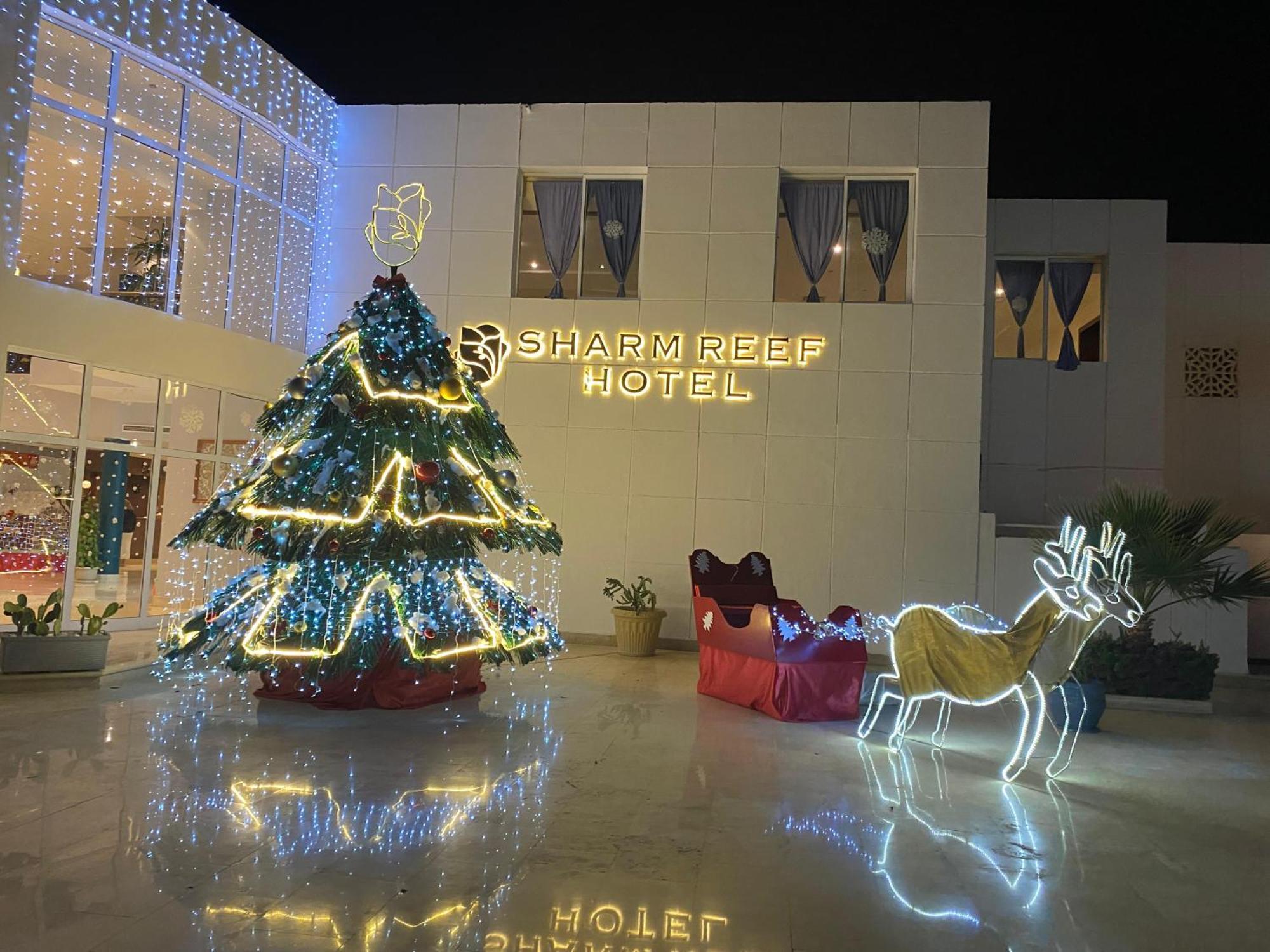 Reef 4* Sharm el-Sheikh